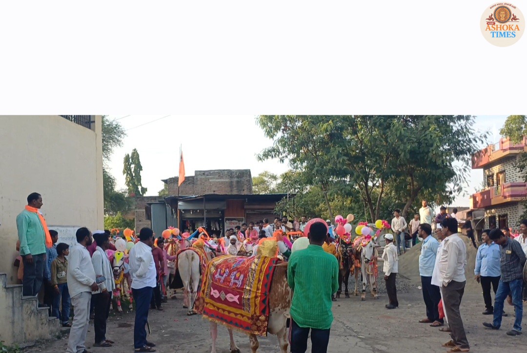 पारंपरिक वारसा: गावात पूर्वापार चालत आलेल्या पाटलांच्या बैलांच्या मानाची परंपरा आजही अखंडित.